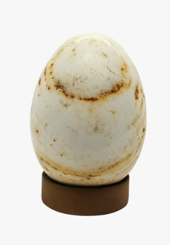 Egg-shaped pat lamp
