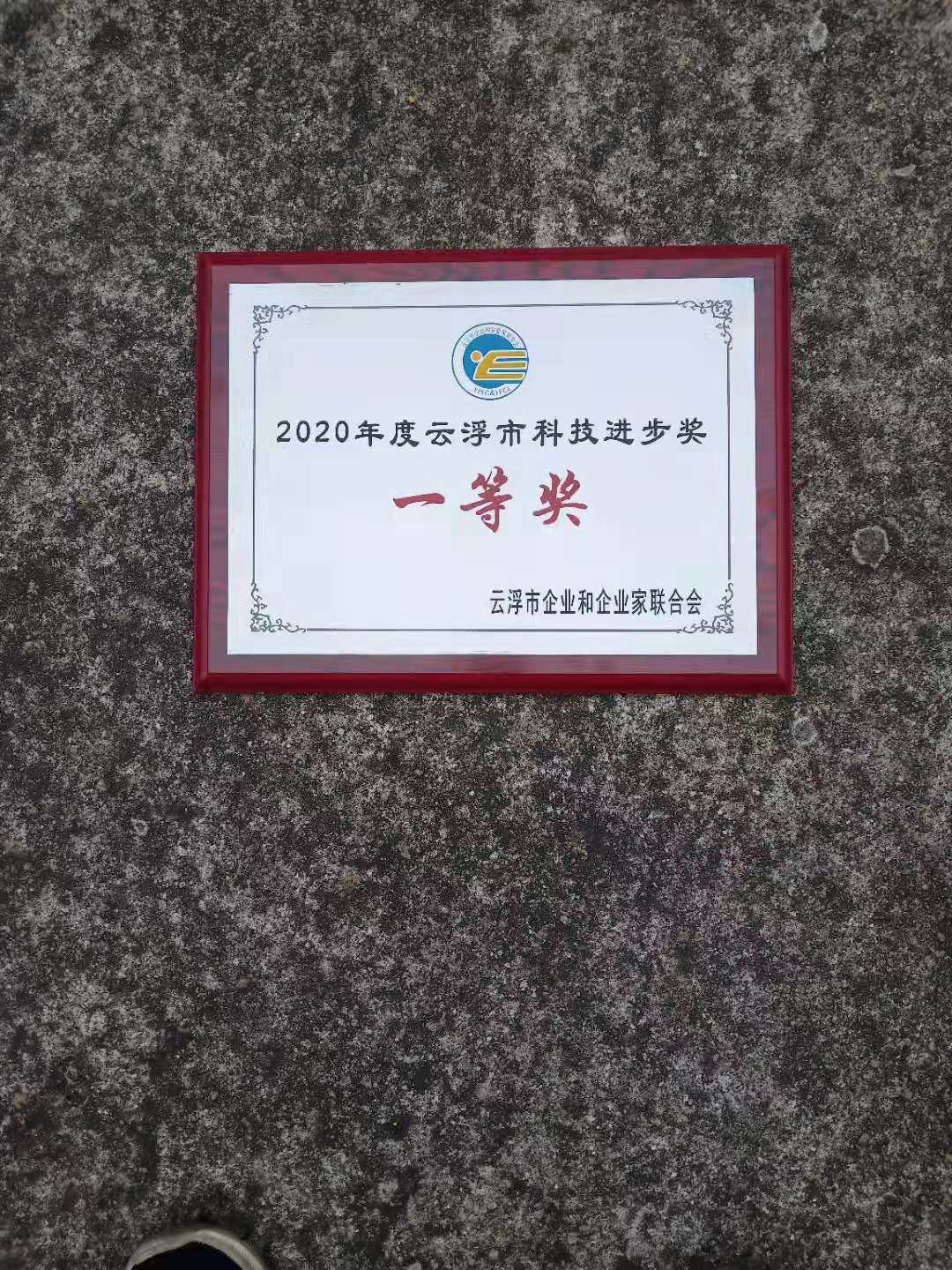 科技进步奖一等奖